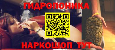гашишное масло Аша
