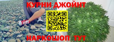 прущие грибы Баксан