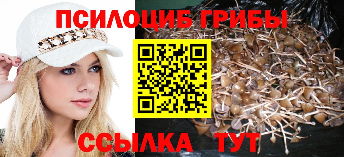 Галлюциногенные грибы Magic Shrooms Карасук