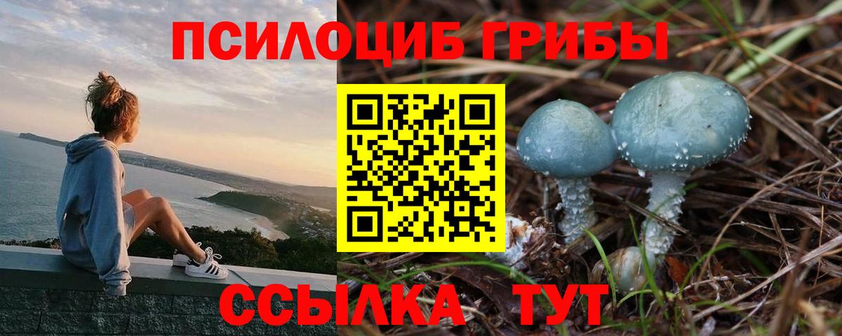 Галлюциногенные грибы GOLDEN TEACHER  Псилоцибиновые грибы ЛСД  Карасук  Вход с VPN 